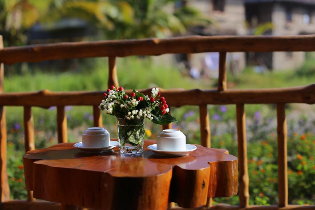Combo 2N1Đ Can Tho Ecolodge 4⭐
