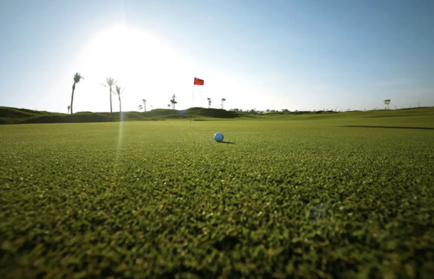 Combo 2N1Đ FLC Sầm Sơn + Golf