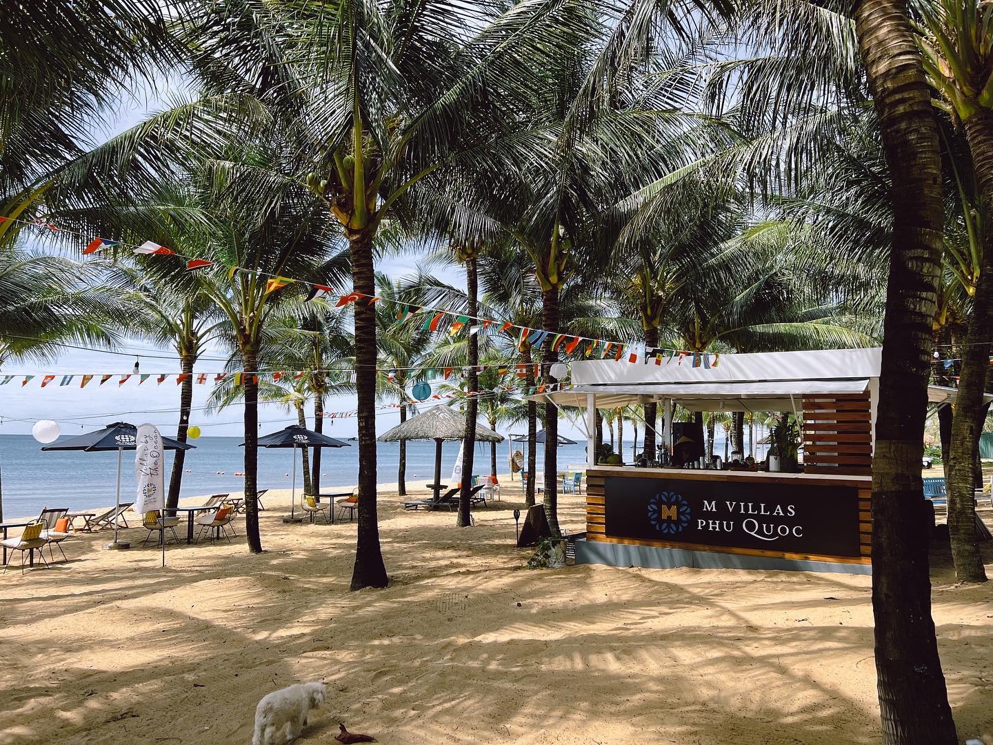 Teambuilding M Villas Phú Quốc