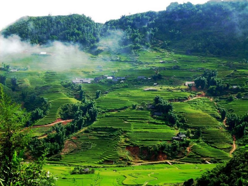 Tour Mộc Châu 3N2Đ KS 5* – TRMC005
