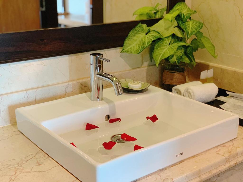 Combo Mường Thanh Luxury Nhật Lệ + Tour động Thiên Đường