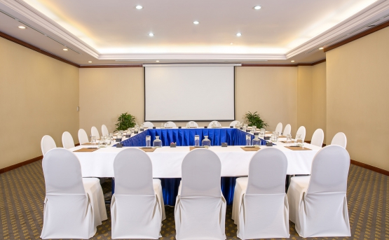 Hội nghị khách sạn Saigon Prince Hotel