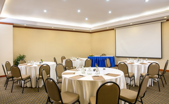 Hội nghị khách sạn Saigon Prince Hotel
