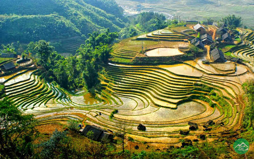 Tour Tp.HCM – Mù Cang Chải 4N3Đ – TRMCC002