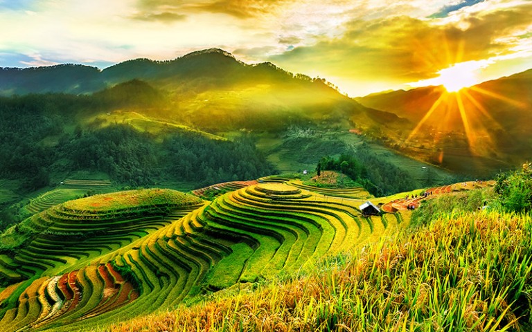 Tour HCM – Mù Cang Chải 5N4Đ – TRMCC003