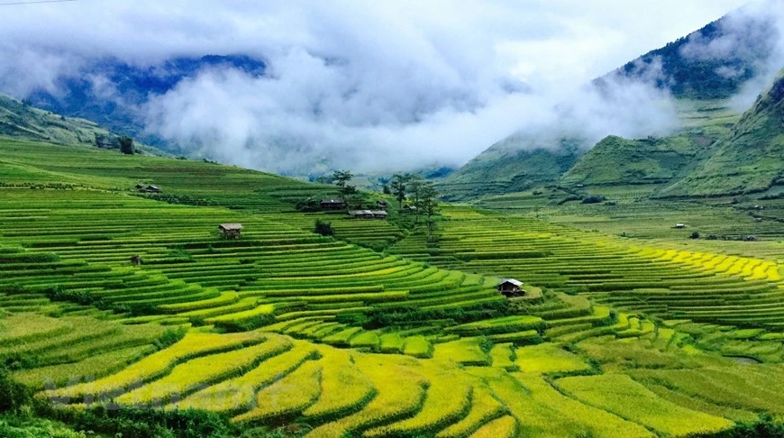 Tour Hà Nội – Yên Bái – Hà Nội 3N2Đ- TRYB001