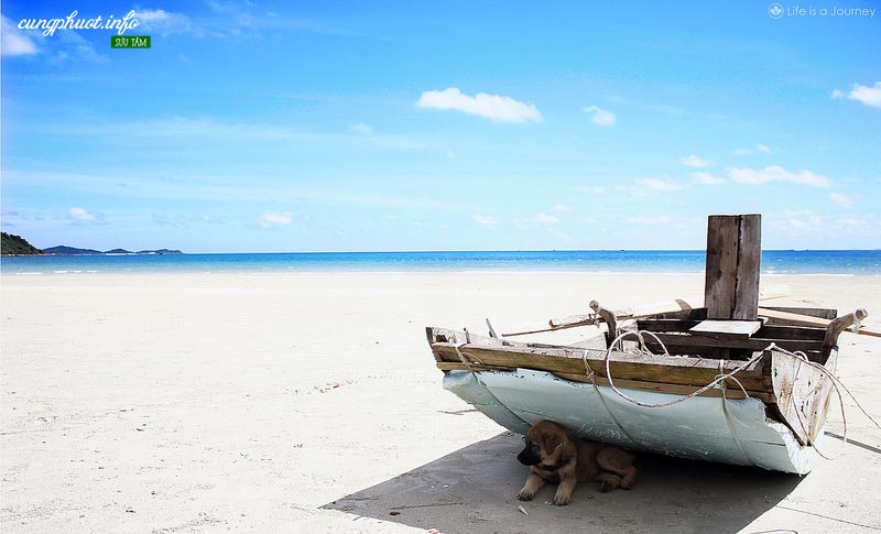 Tour Hà Nội-Cô Tô 3N2Đ KS 3* – Tour riêng – TRCO001