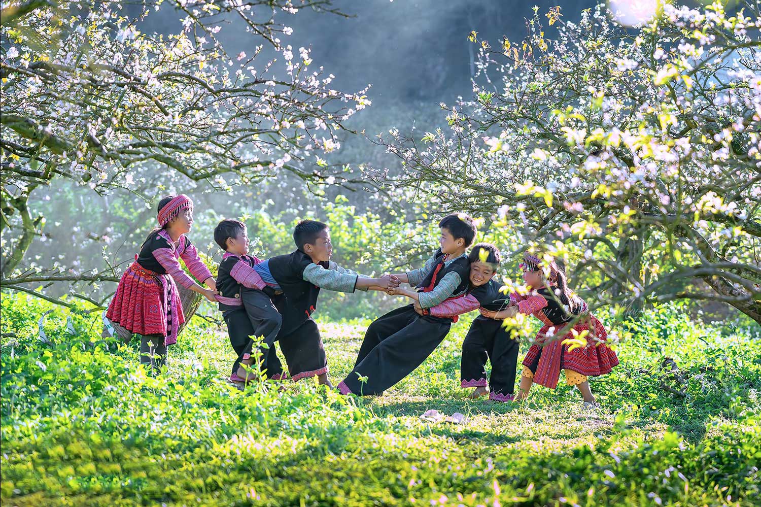 Tour Mộc Châu Sơn La – 2N1Đ – TRSL006