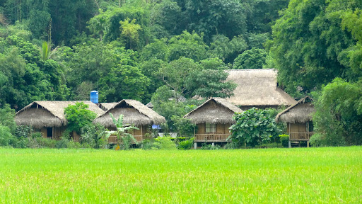 Tour Hà Nội – Yên Bái 2N1Đ- TRYB002
