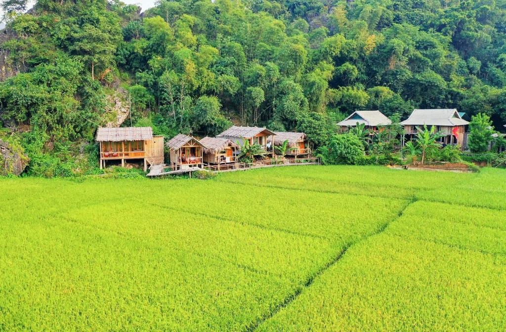 Tour Hà Nội – Mù Cang Chải 2 ngày 01 đêm- TRMCC001