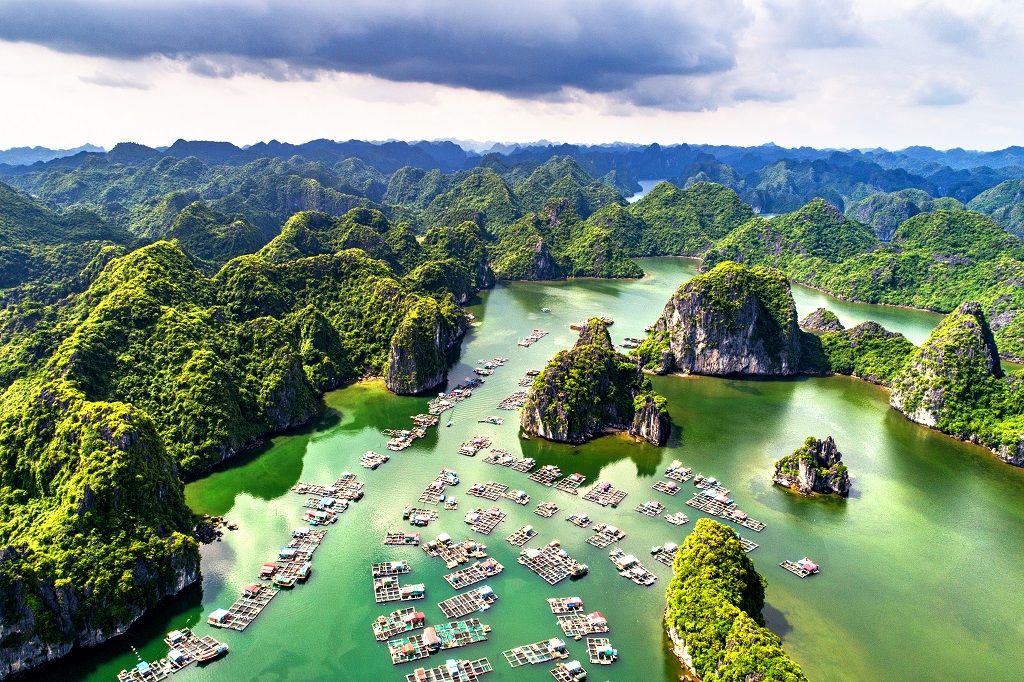 Tour Vịnh Lan Hạ 1 ngày – 8 tiếng