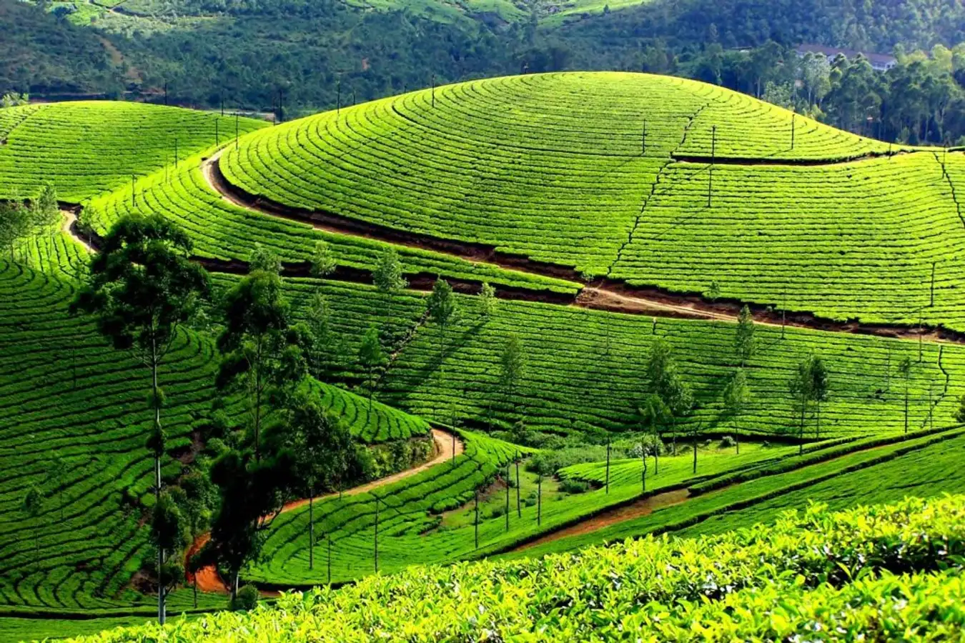Tour Hà Nội – Nghệ An 3N2Đ KS 4* TRNA005