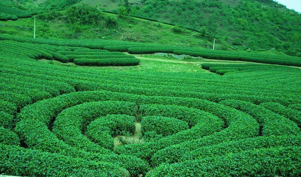 Tour Tây Bắc (Mai Châu – Mộc Châu – Điện Biên – Lai Châu – Sapa) 4N3Đ – TRTB003