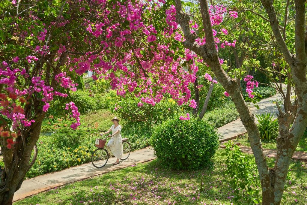 Combo 2N1Đ Khách sạn Fleur de Lys Resort & Spa Long Hai