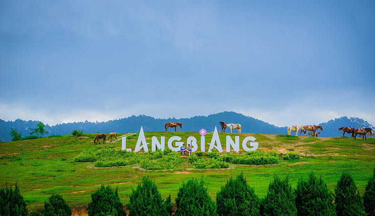 Tour Đà Lạt 3N2Đ KS 3* – TRDL002