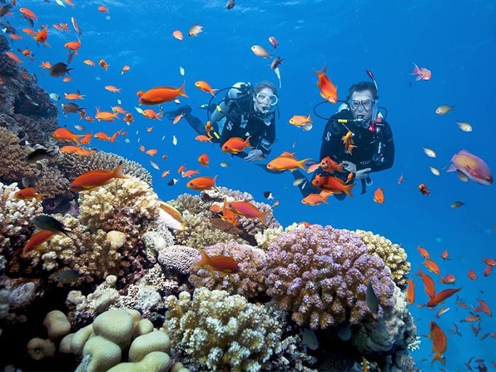 Tour Nha Trang 5N4Đ