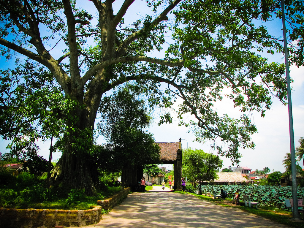 Tour Sơn Tây 2N1D