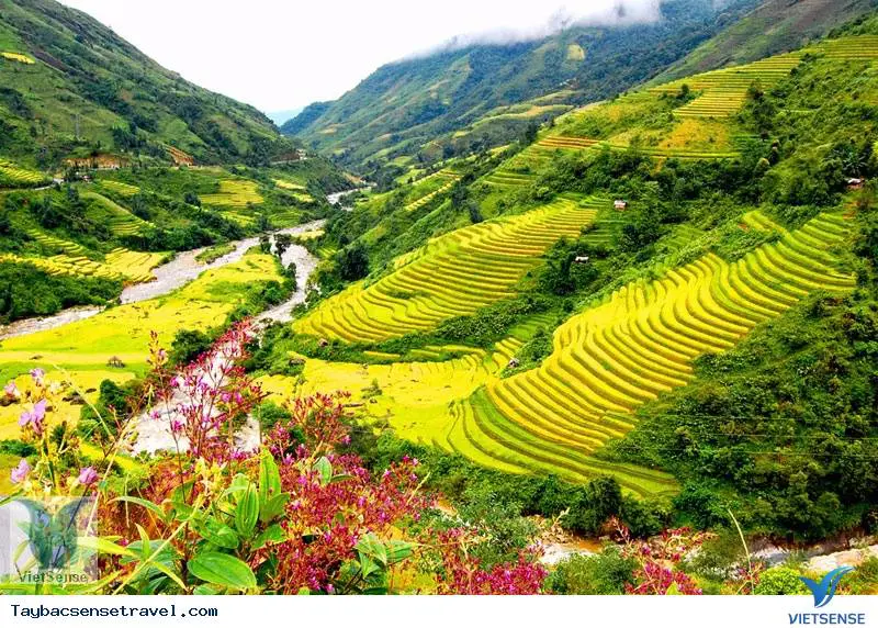 Tour Hà Nội – Y Tý – 2N1Đ