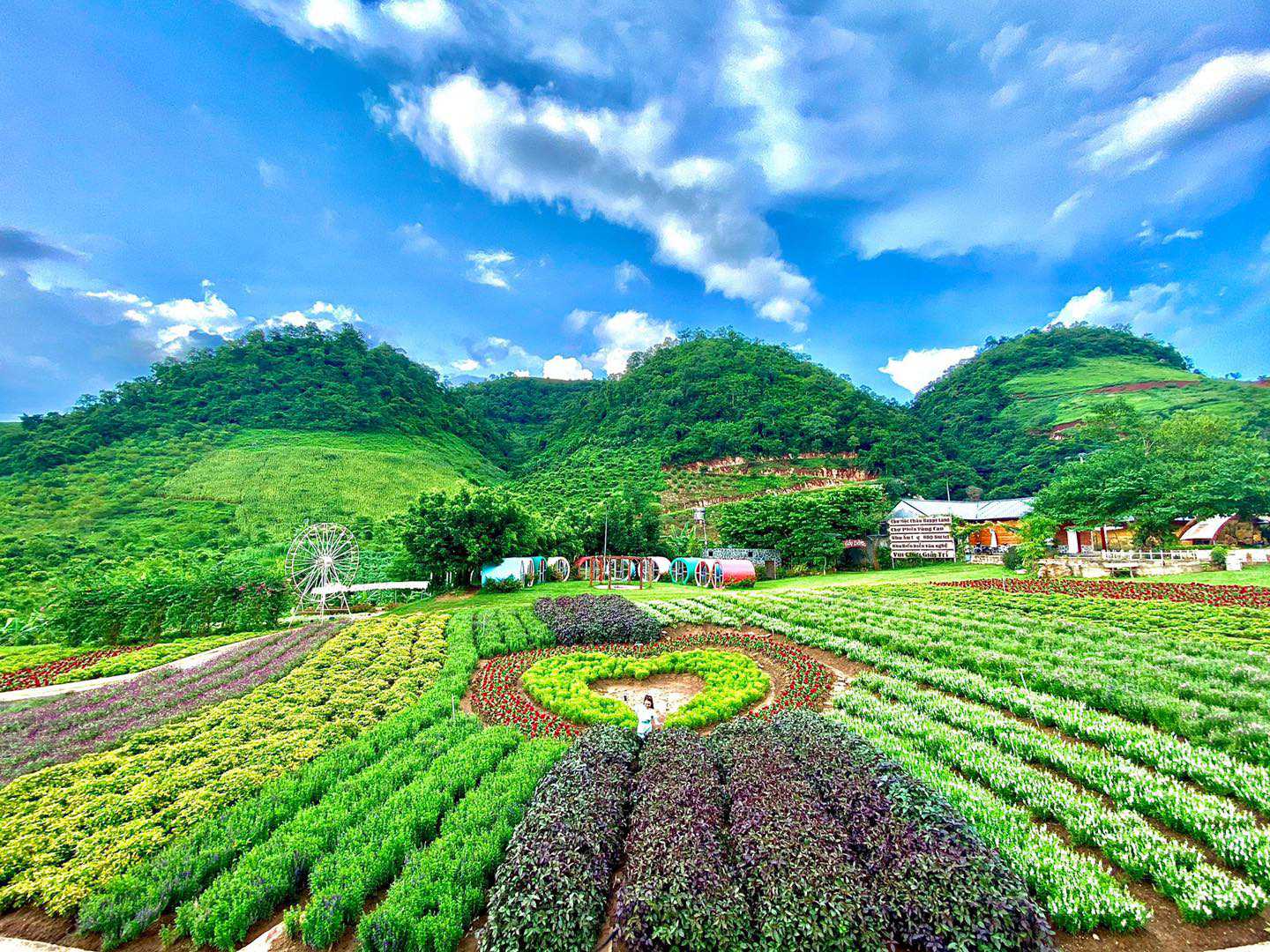 Tour Hà Nội – Mộc Châu KS 3* TRSL106