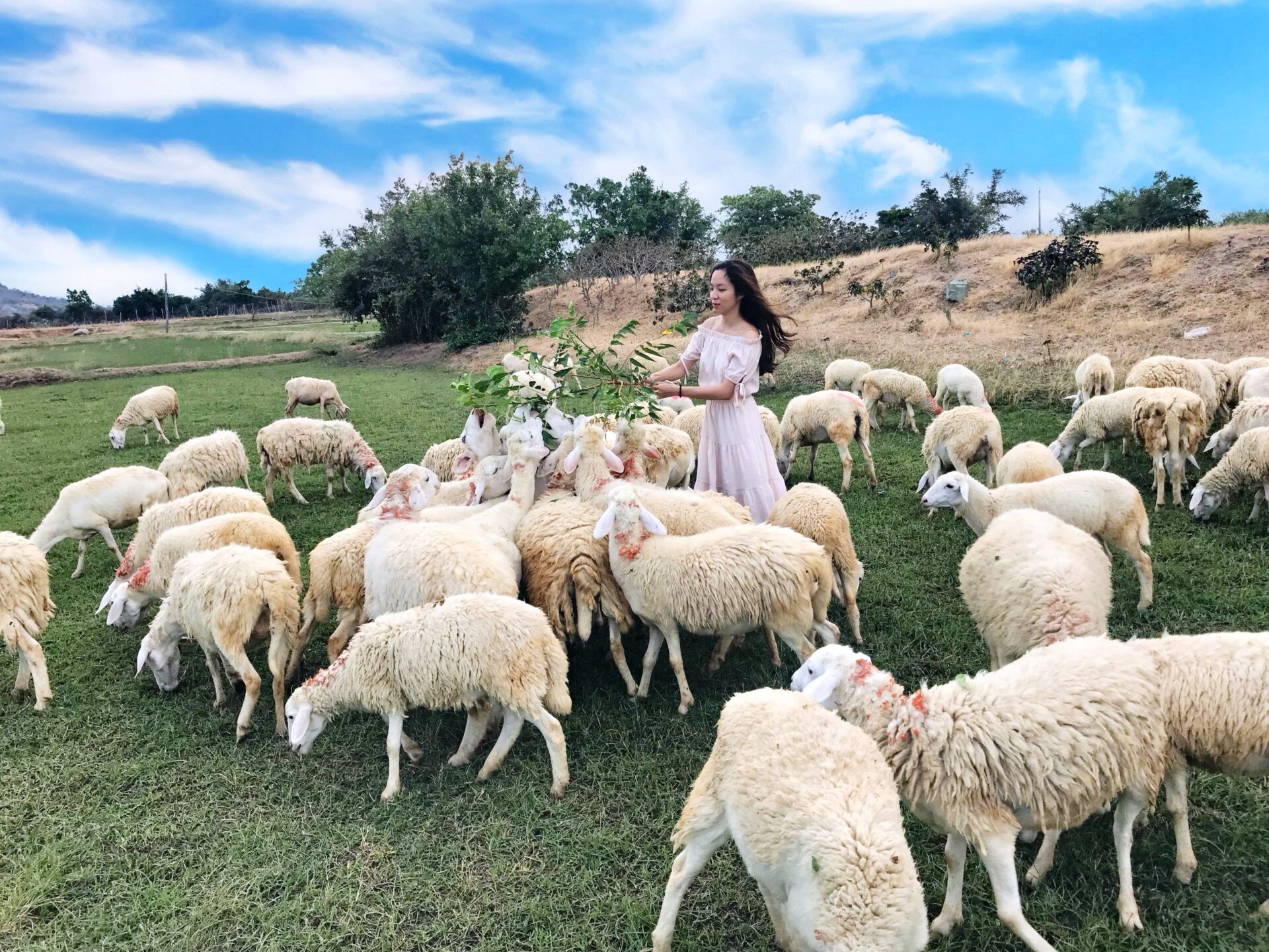 Tour Hà Nội – Ninh Thuận 3N2Đ KS 2*