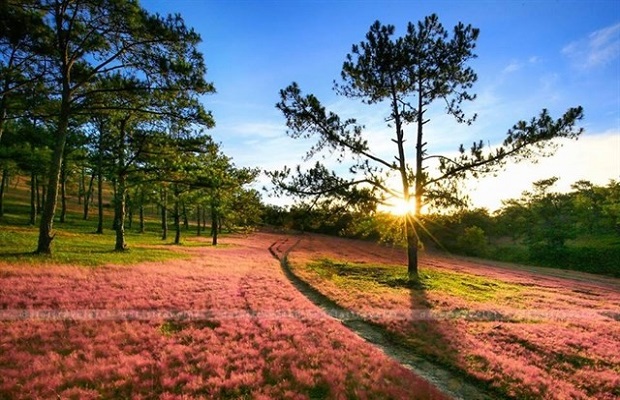 Combo Ana Mandara Villas Dalat Resort + Tour thắng cảnh