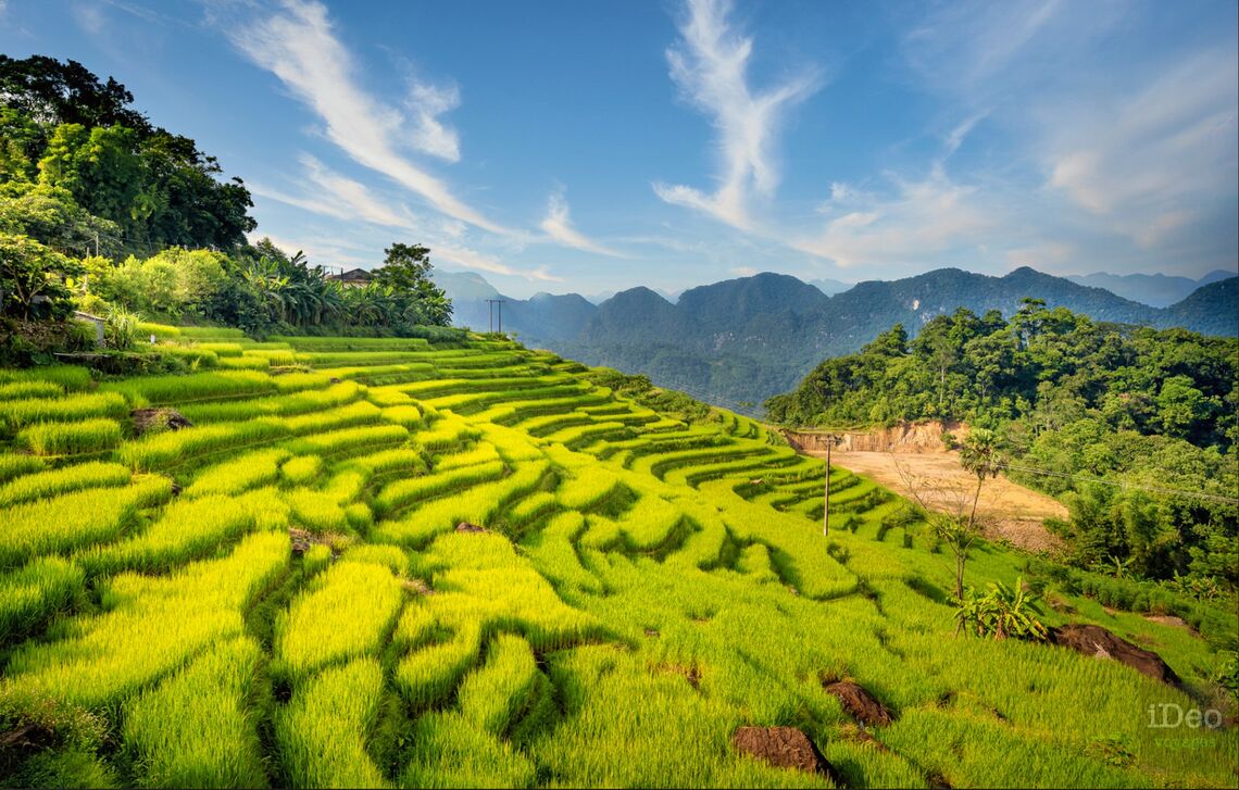 Tour Hà Nội – Mai Châu 2N1Đ TRMC001