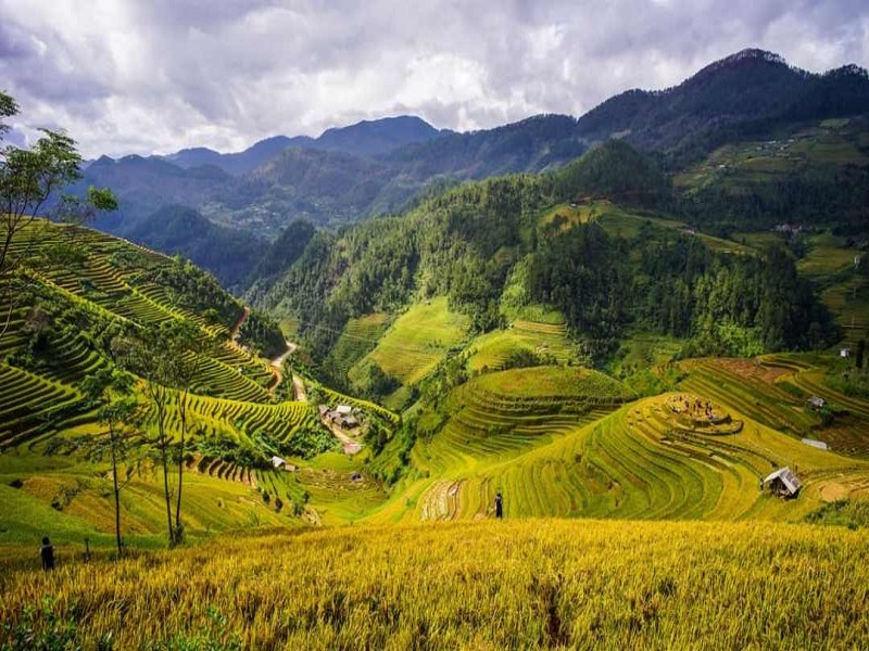 Tour Hà Nội – Mai Châu 2N1Đ TRMC001