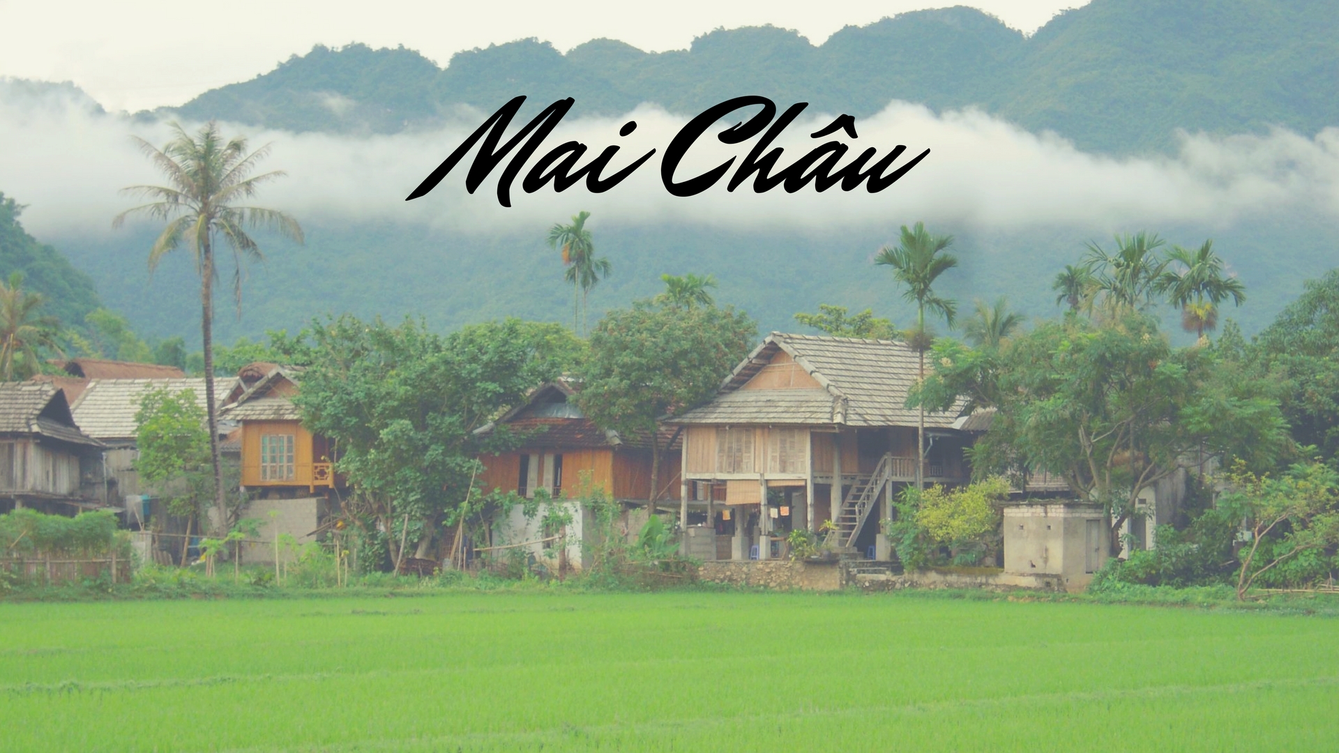Tour khám phá Thung Lũng Mai Châu – 1 Ngày – TRMC001