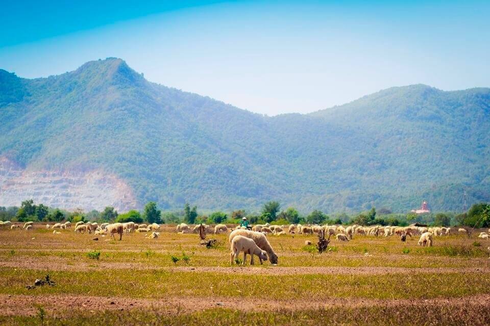 Tour Vũng Tàu 3N2Đ KS 4* TRVT001