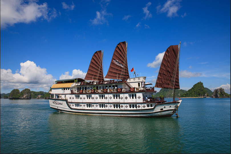 Du thuyền Paloma vịnh Bái Tử Long