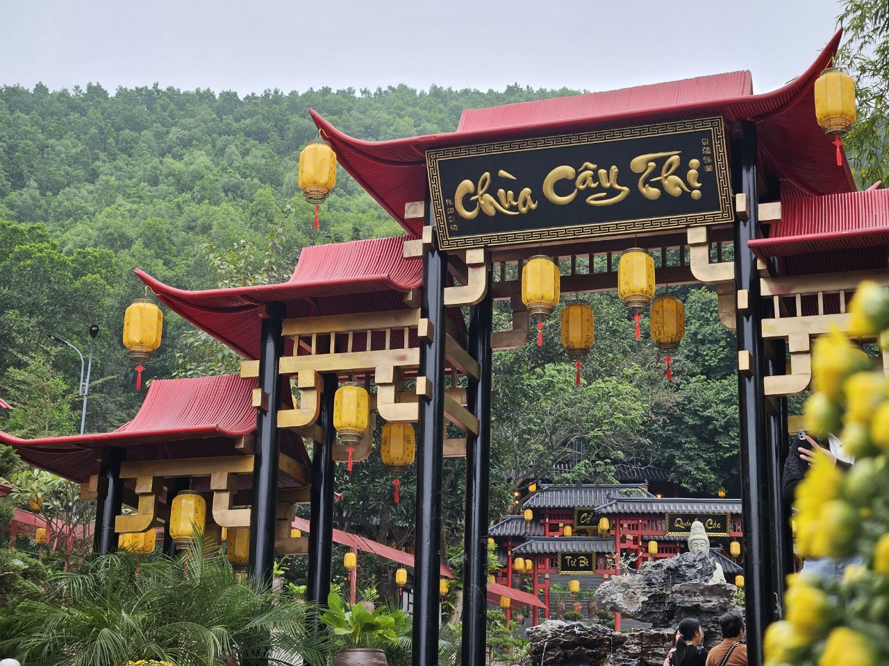 [Trong ngày]Tour HN – Tam Chúc – Đầm Vân Long – Chùa Cây Thị – HN (TOHNA003)