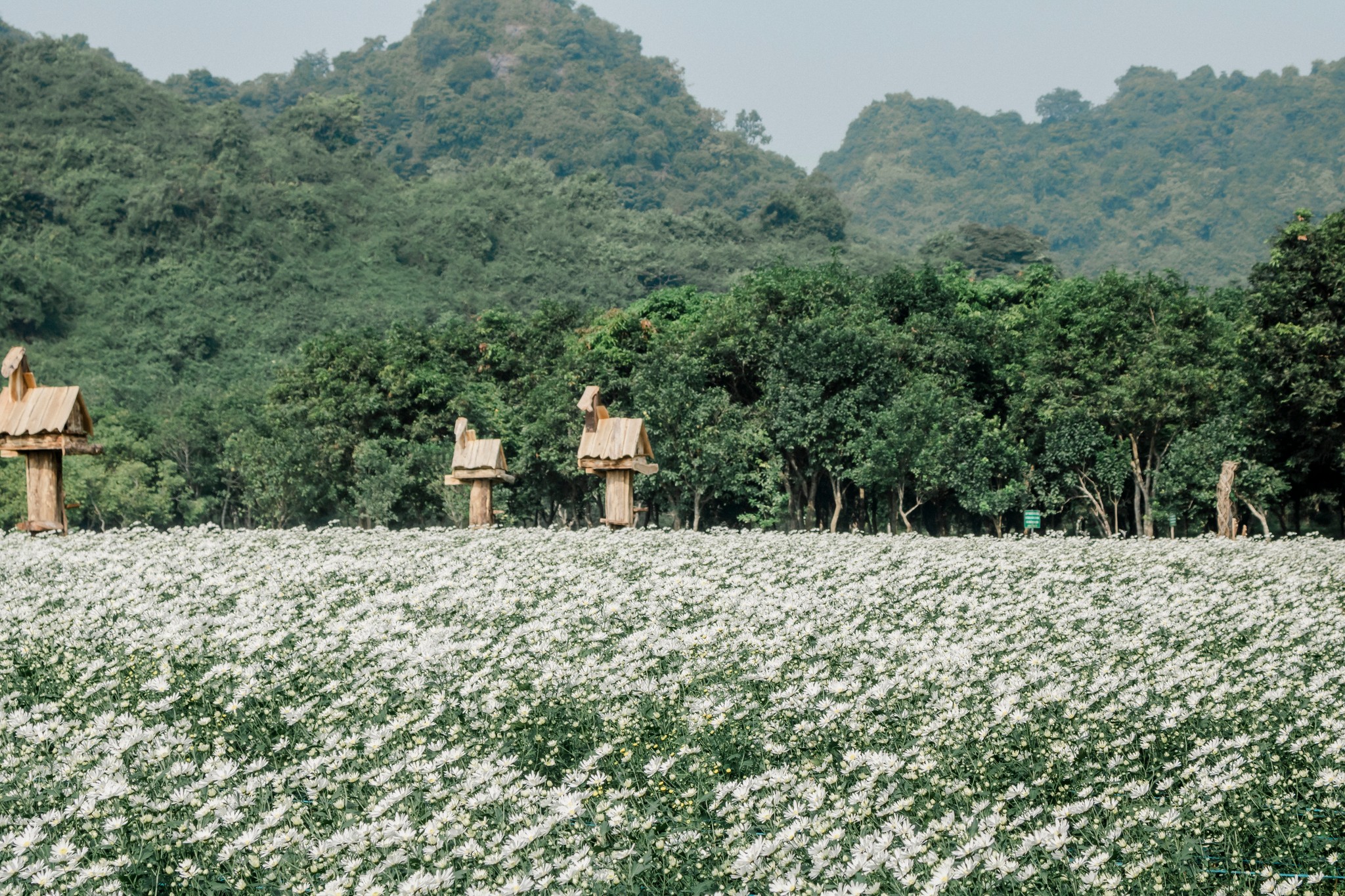 [Trong ngày]Tour HN – Địa tạng Phi Lai Tự – Thung Nham – HN (TRNB012)