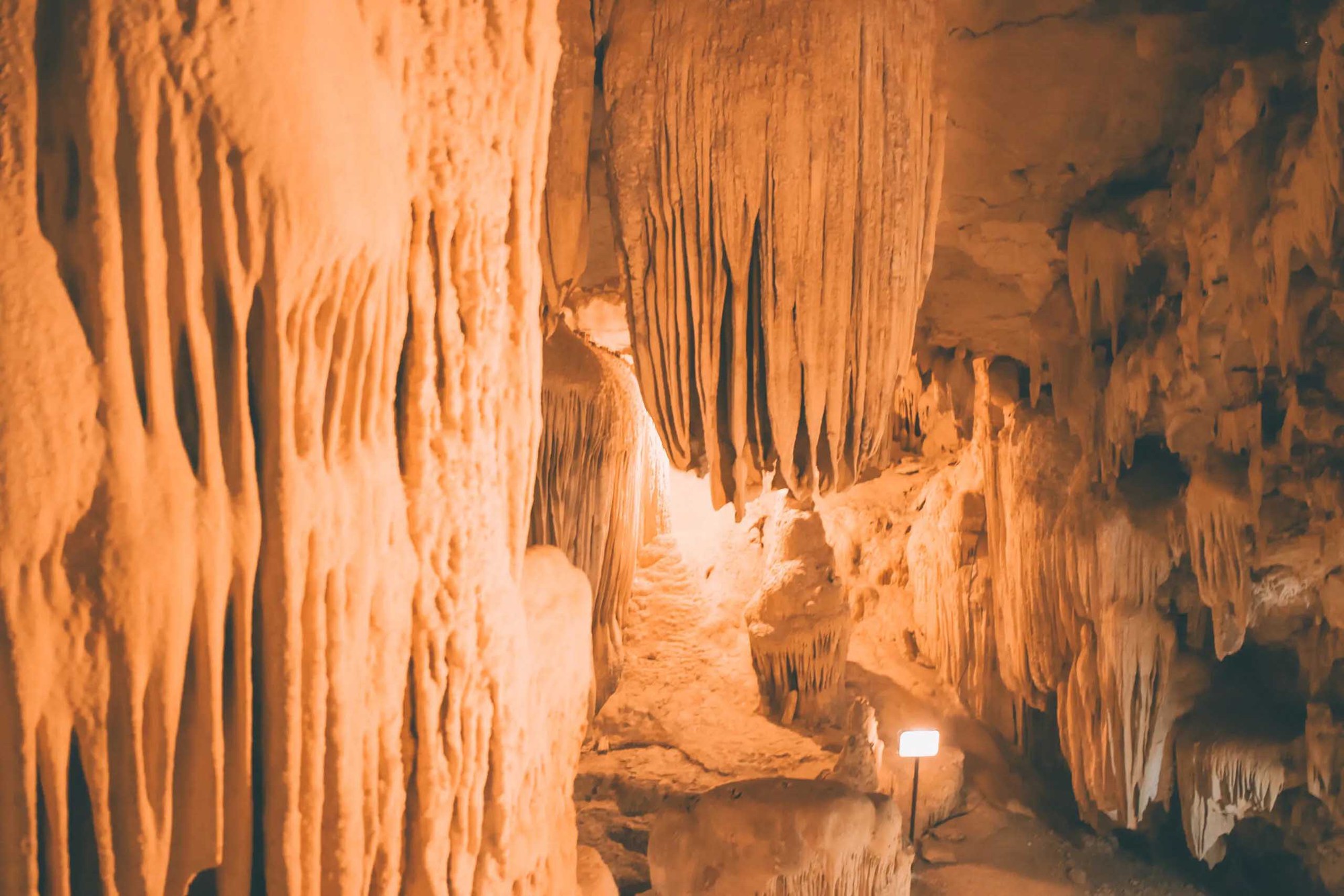 [Trong ngày]Tour HN – Địa tạng Phi Lai Tự – Thung Nham – HN (TRNB012)