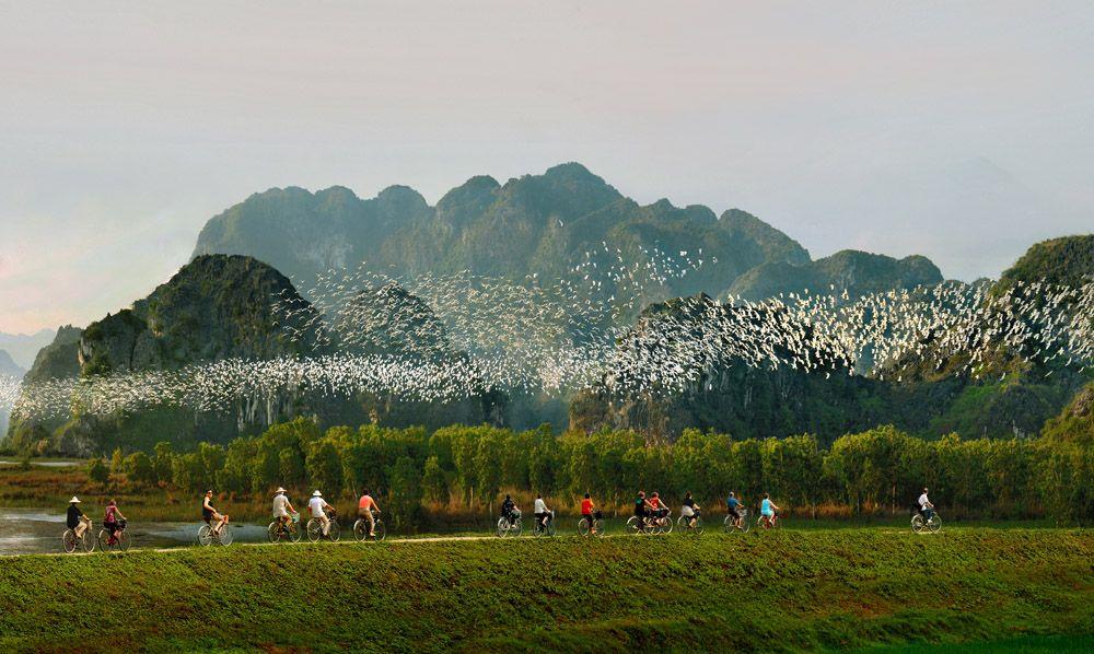 [Trong ngày]Tour Hà Nội – Thung Nham – Hà Nội (TRNB011)